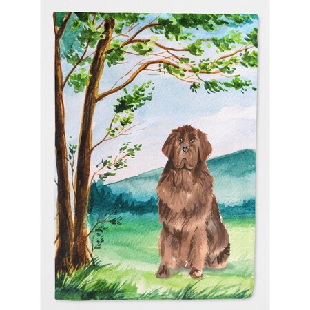 Carolines Treasures Under the Tree Newfoundland Flag Canvas House Size CK2563CHF